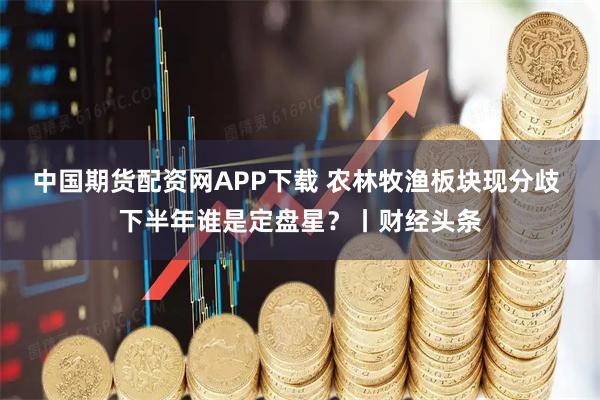 中国期货配资网APP下载 农林牧渔板块现分歧 下半年谁是定盘星？丨财经头条