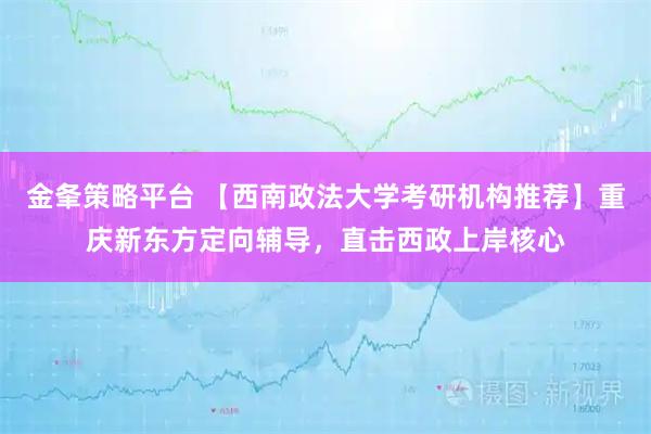 金夆策略平台 【西南政法大学考研机构推荐】重庆新东方定向辅导,直击西政上岸核心