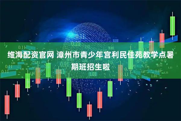 维海配资官网 漳州市青少年宫利民佳苑教学点暑期班招生啦
